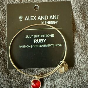 Alex and Ani Gold Bracelet with Ruby Charm